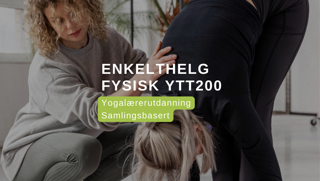 Enkelthelg Samling YTT200