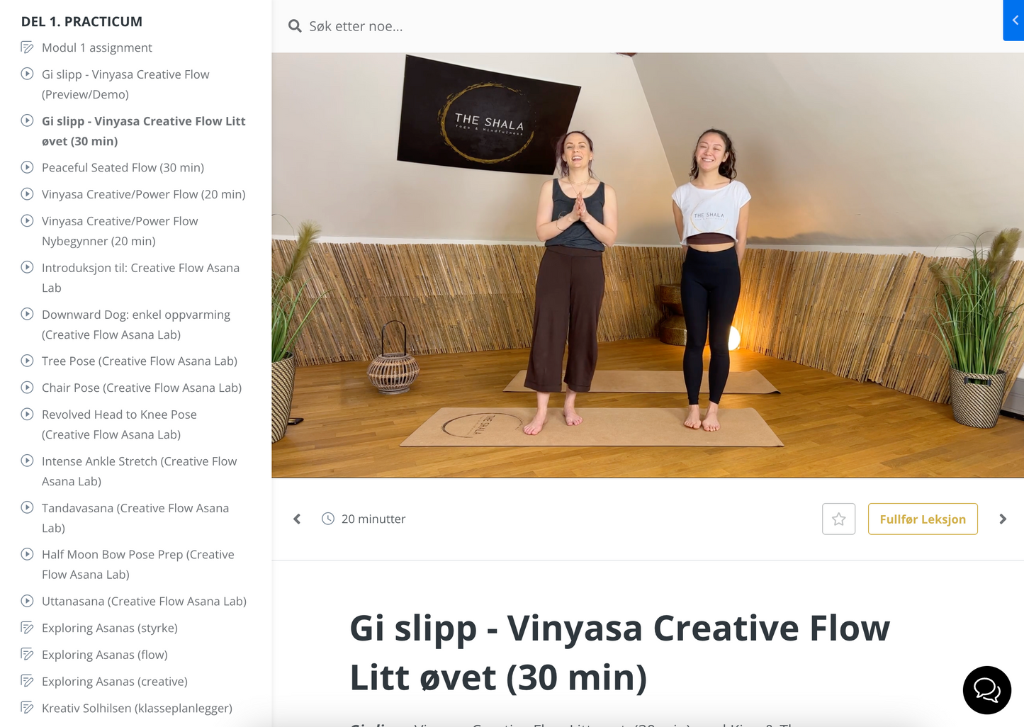 *VÅRTILBUD* Vinyasa Flow Fordypning Online