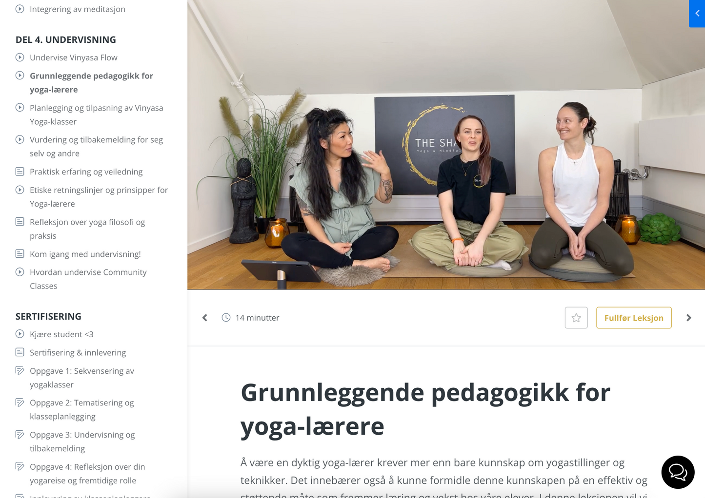 *VÅRTILBUD* Vinyasa Flow Fordypning Online