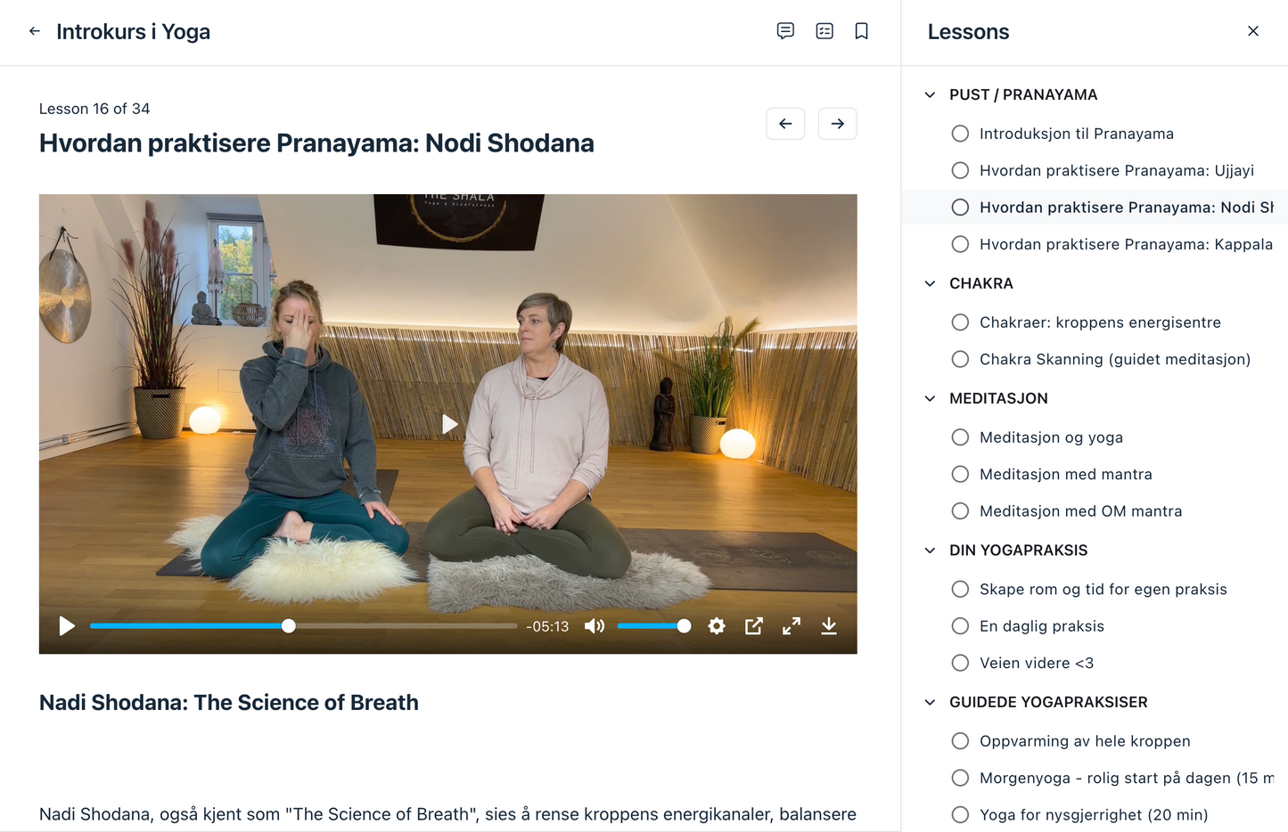 Yoga Nybegynner Online