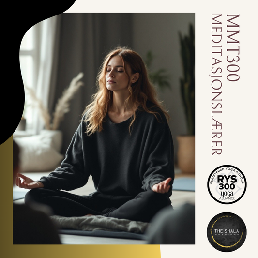 *BLACK FRIDAY* Meditasjon & Mindfulness Lærer Online