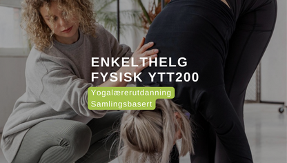 Enkelthelg Samling YTT200