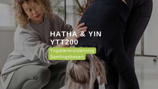*Vårtilbud* Hatha & Yin Yogautdanning Samlingsbasert Høst 24