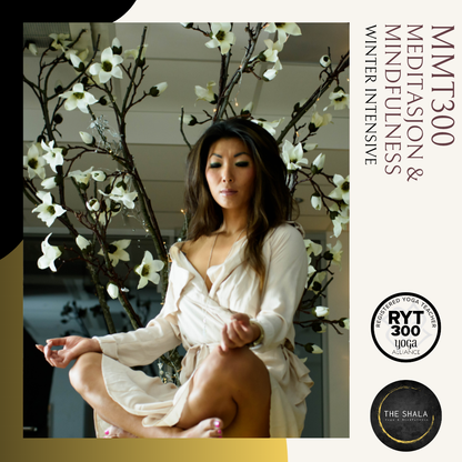 *BLACK FRIDAY* Meditasjonslærer Winter Intensive 2026