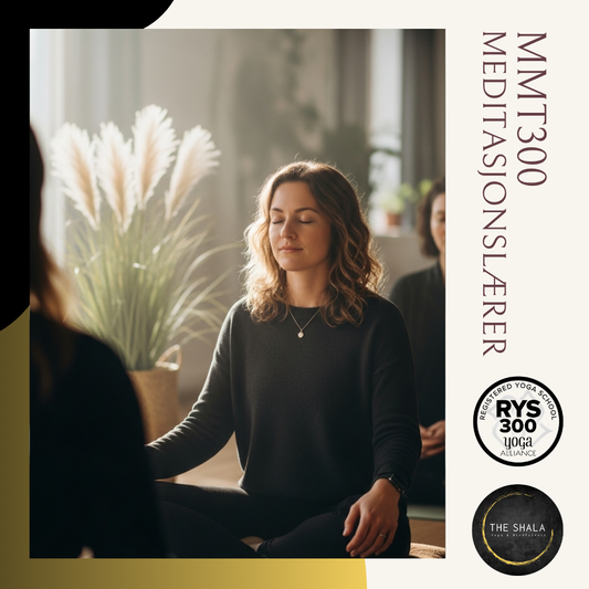 *BLACK FRIDAY* Meditasjonslærer Online