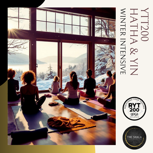 *BLACK FRIDAY* Hatha & Yin Yogalærer Winter Intensive 2026