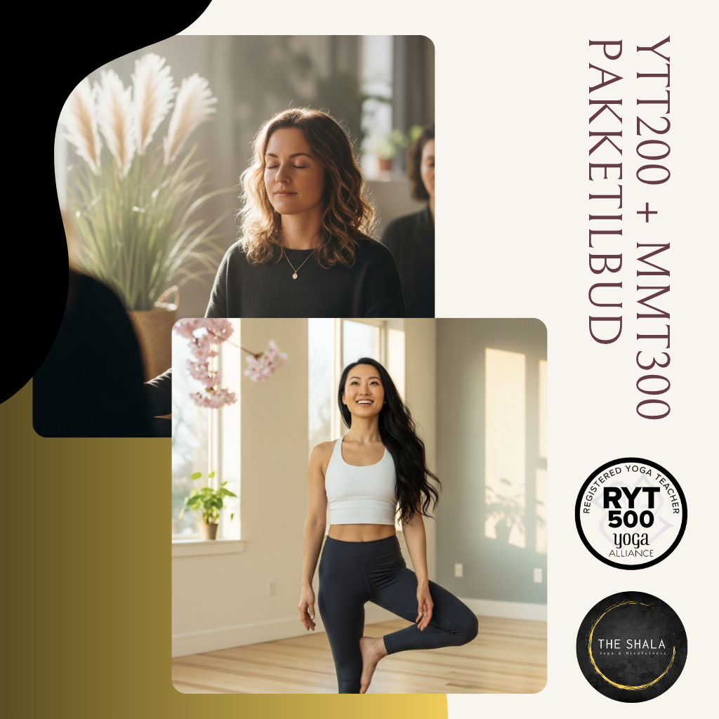 *PAKKETILBUD* YTT200 + MMT300