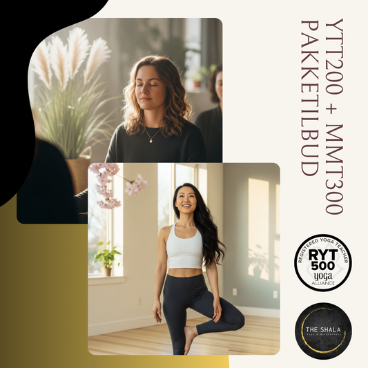 *BLACK FRIDAY* YTT200 + MMT300