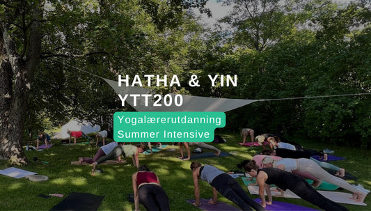 *Vårtilbud* Hatha & Yin Yogautdanning Summer Intensive 24